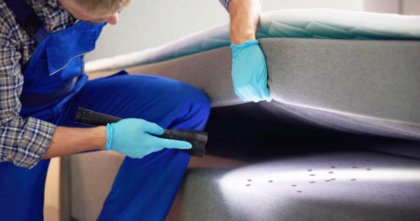 Best Residential Pest Control  in Todd Creek, CO