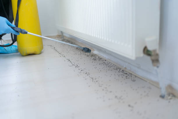 Best Pest Inspection Near Me  in Todd Creek, CO