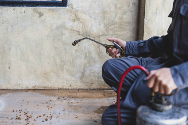 Best Best Pest Control Companies  in Todd Creek, CO